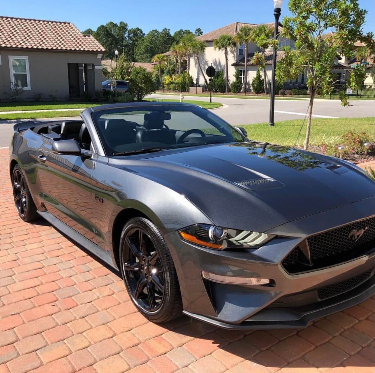 Mustang interior and exterior detail